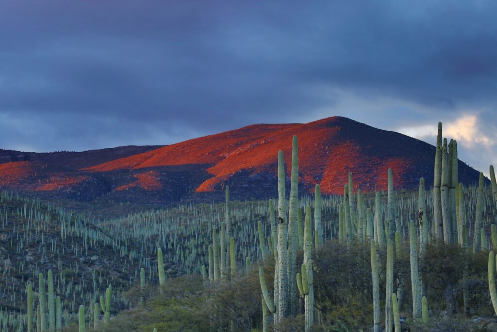 mexico