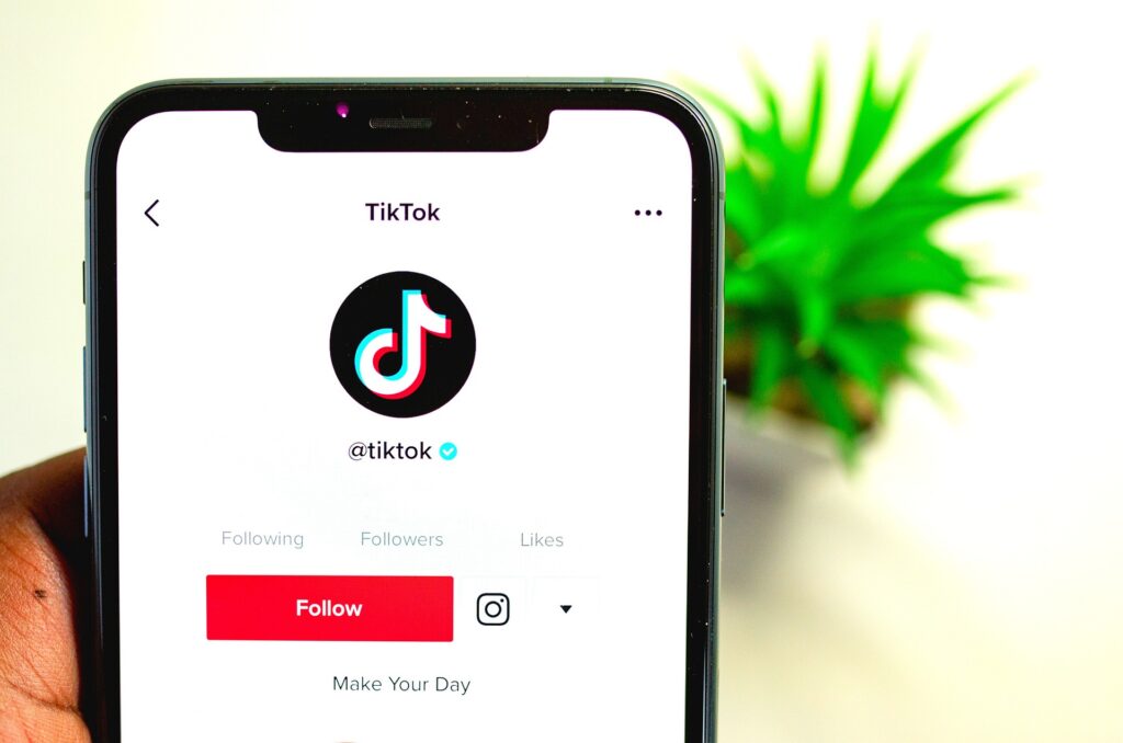 tiktok fake followers check free