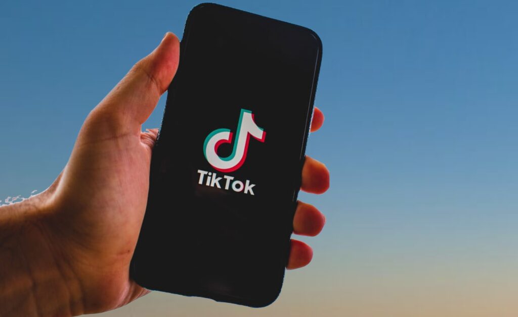 fake followers TikTok