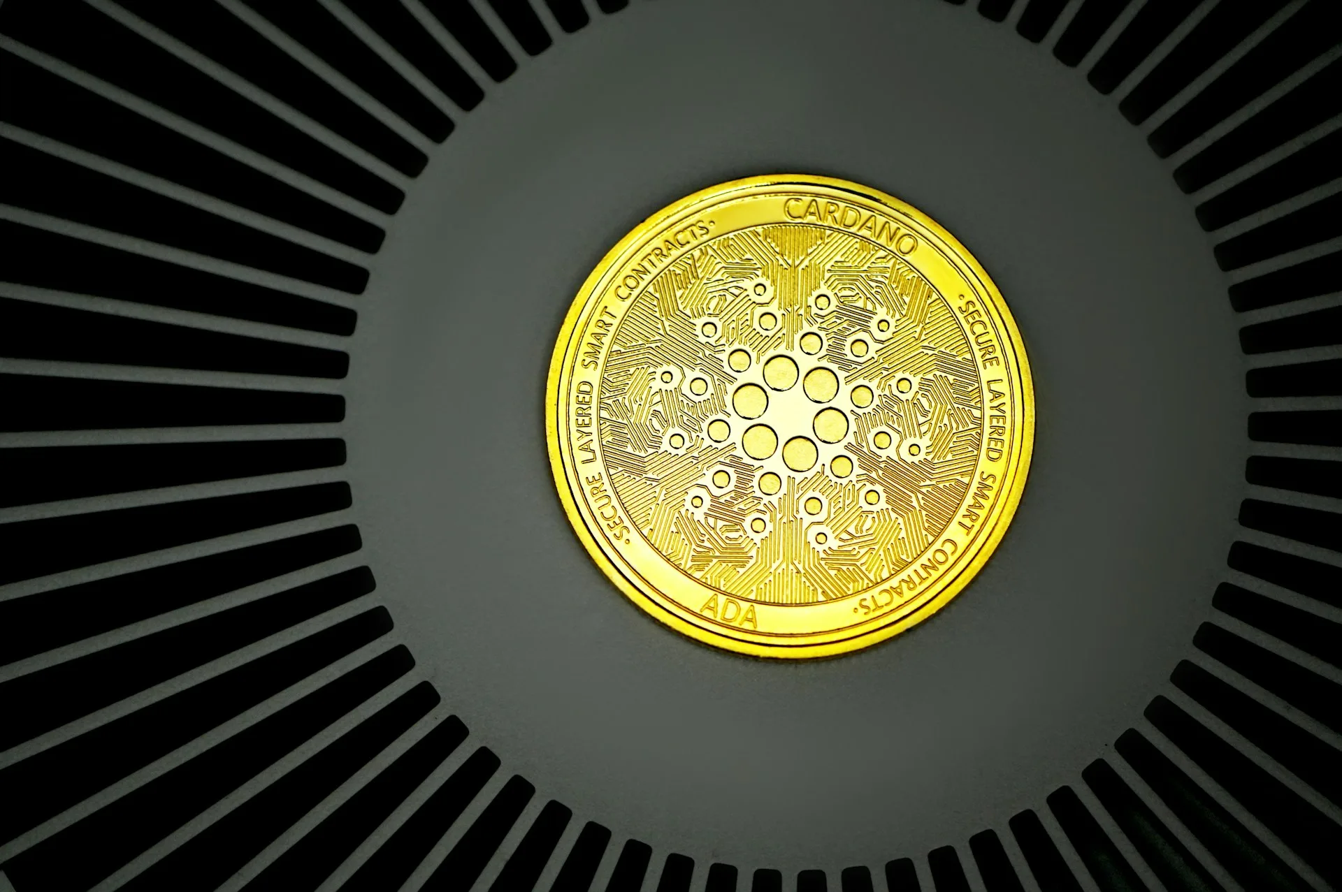 cardano